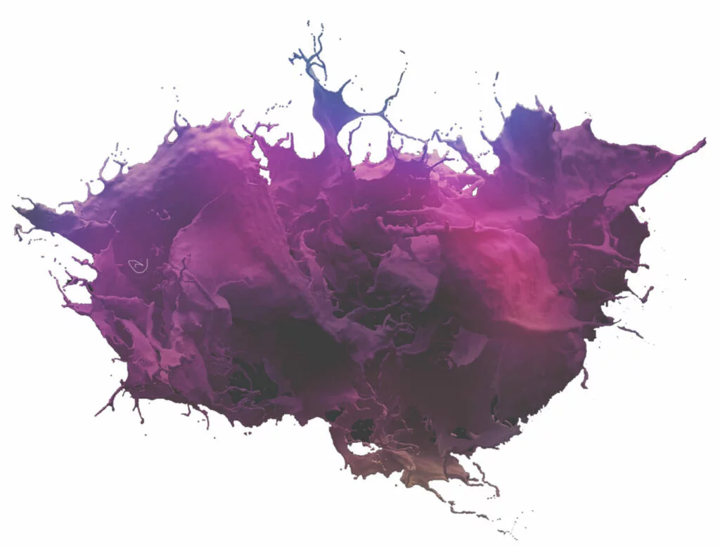 sonus palette